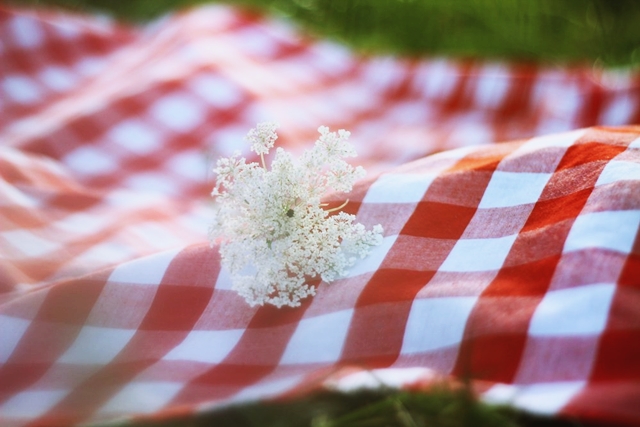 Boring Clothes? No, Thanks! | The Outfit Repeater Summer day, red checkered picnic blanket, milkweed flower