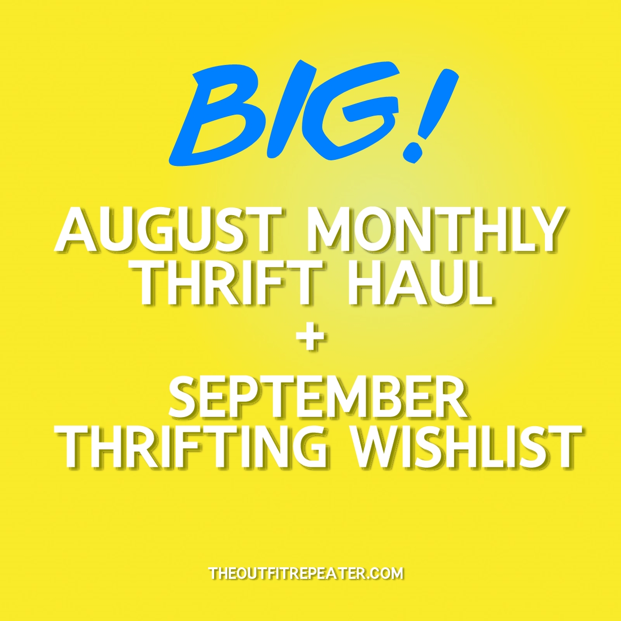 August Monthly Thrift Haul + September Thrifting Wishlist