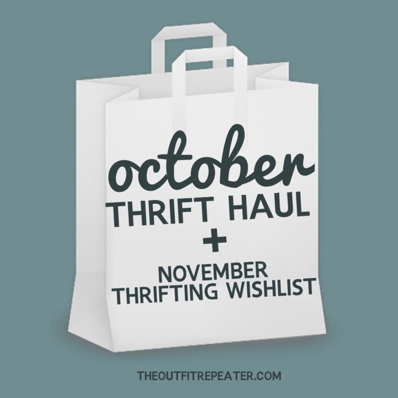 Chatty October Thrift Haul Video + November Thrifting Wishlist